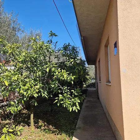 Apartman Dubravko Zadar Exterior photo